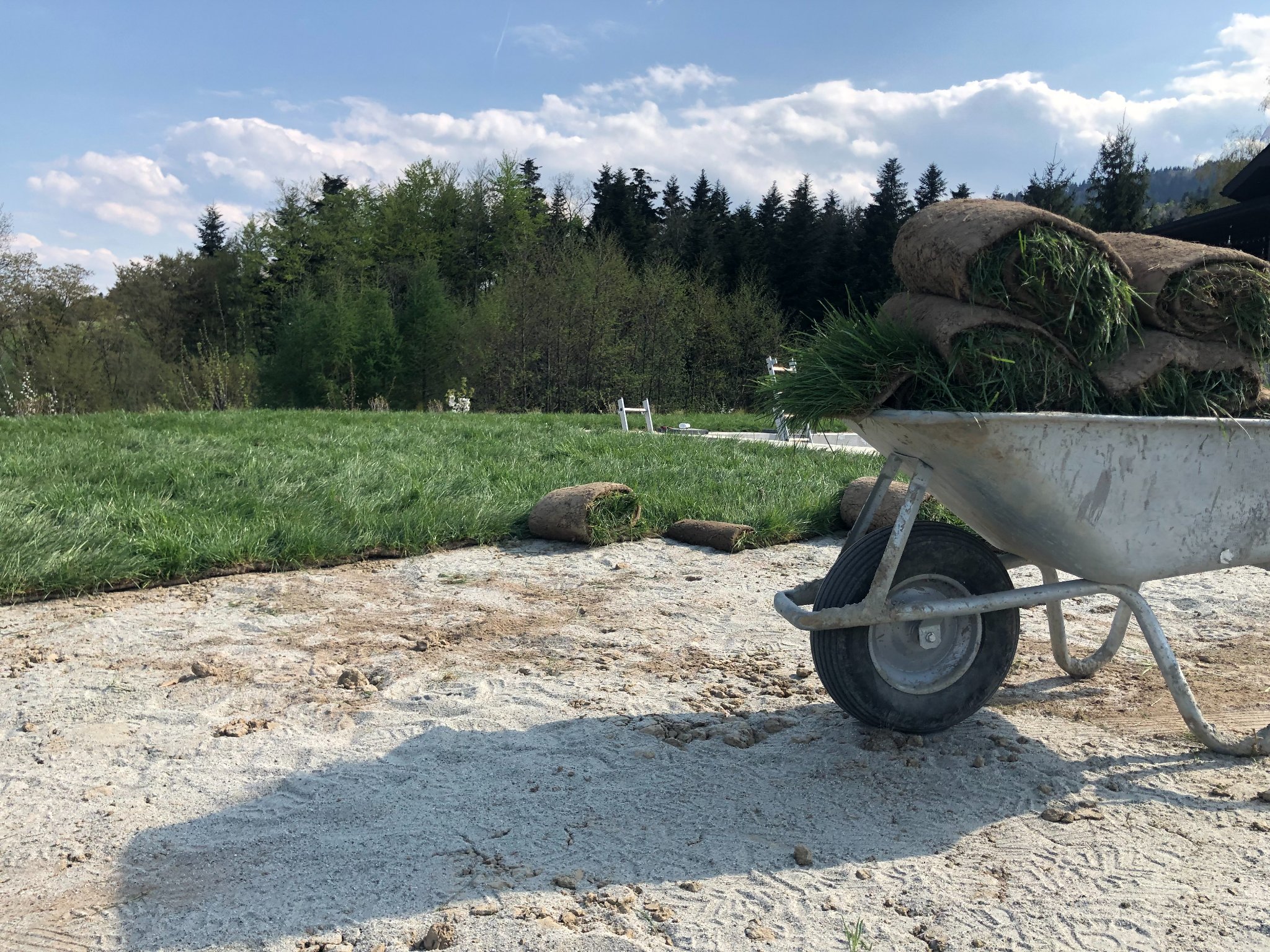 Układanie trawy z rolki